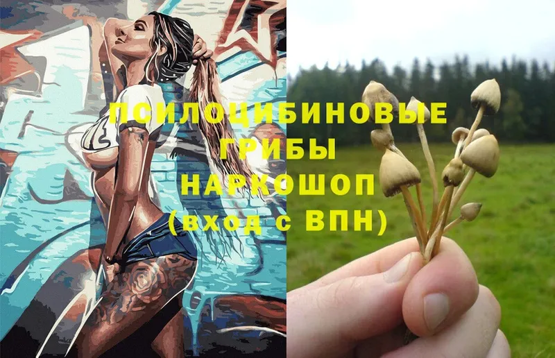 как найти наркотики  Димитровград  Псилоцибиновые грибы Magic Shrooms 